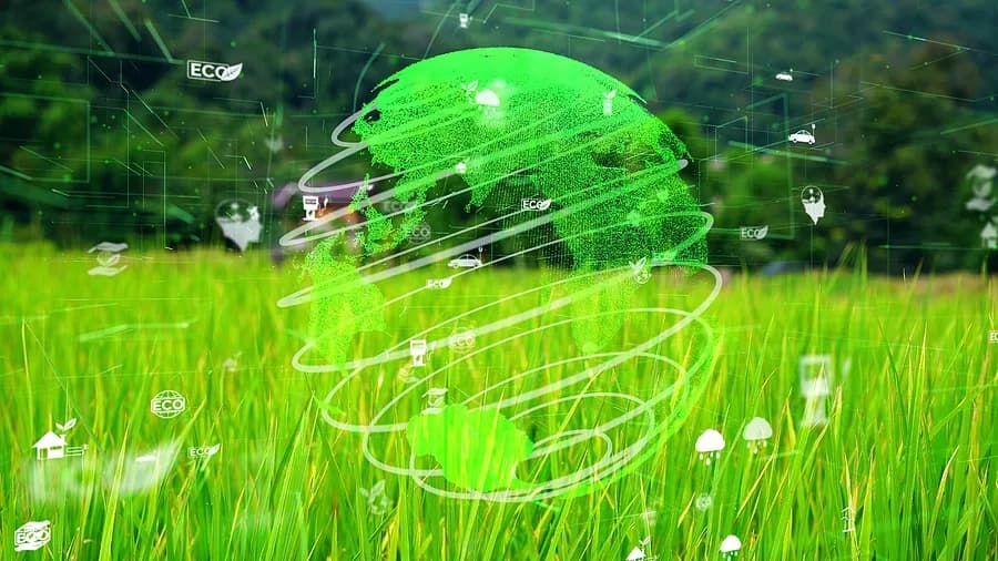 grasbewachsener Hintergrund mit einem grünen Globus, umgeben von Ökosymbolen