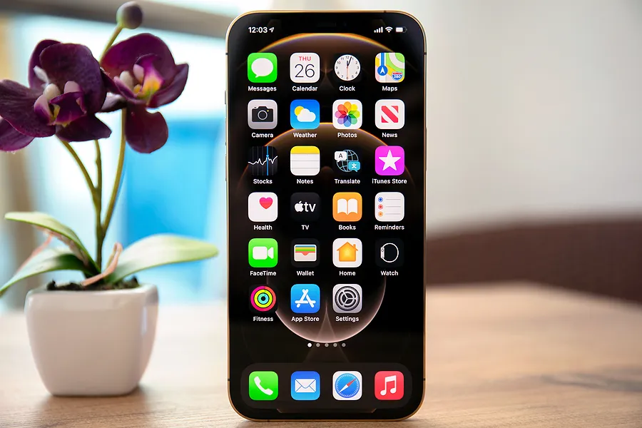 Ein iPhone neben einer Blume